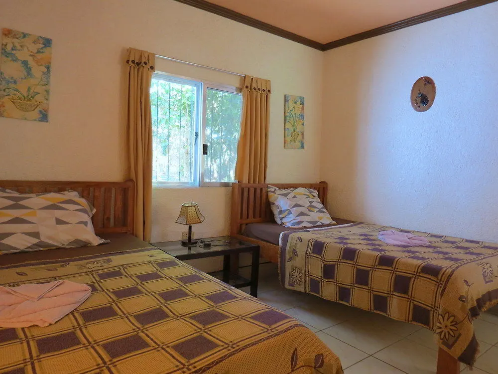Alonaland Resort Apartelle Panglao