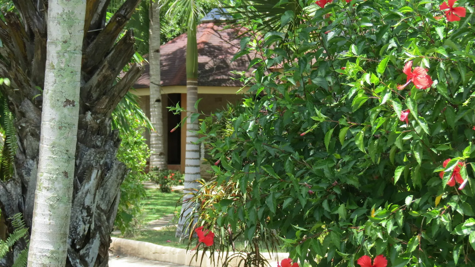 Alonaland Resort Apartelle Panglao 3*, Tawala (Panglao) Philippines