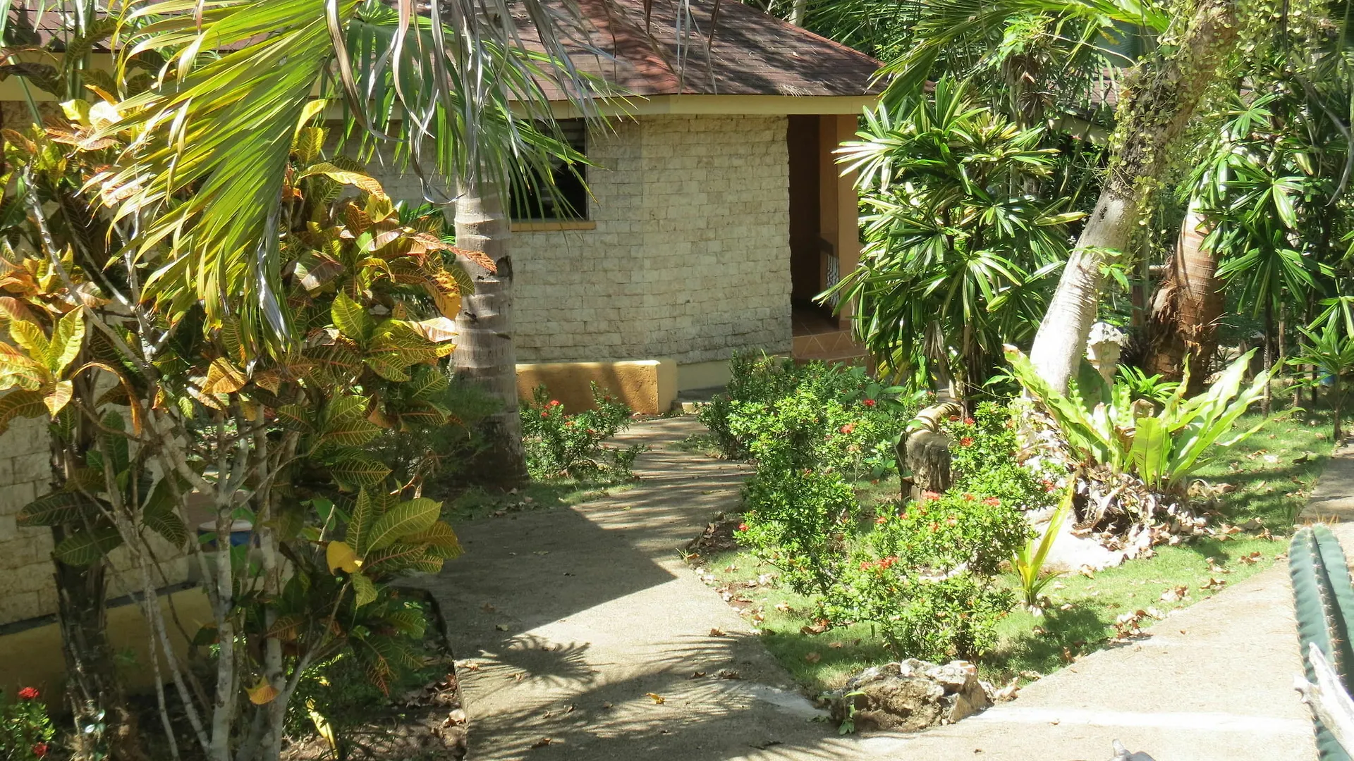 Alonaland Resort Apartelle Panglao 3*, Tawala (Panglao) Philippines