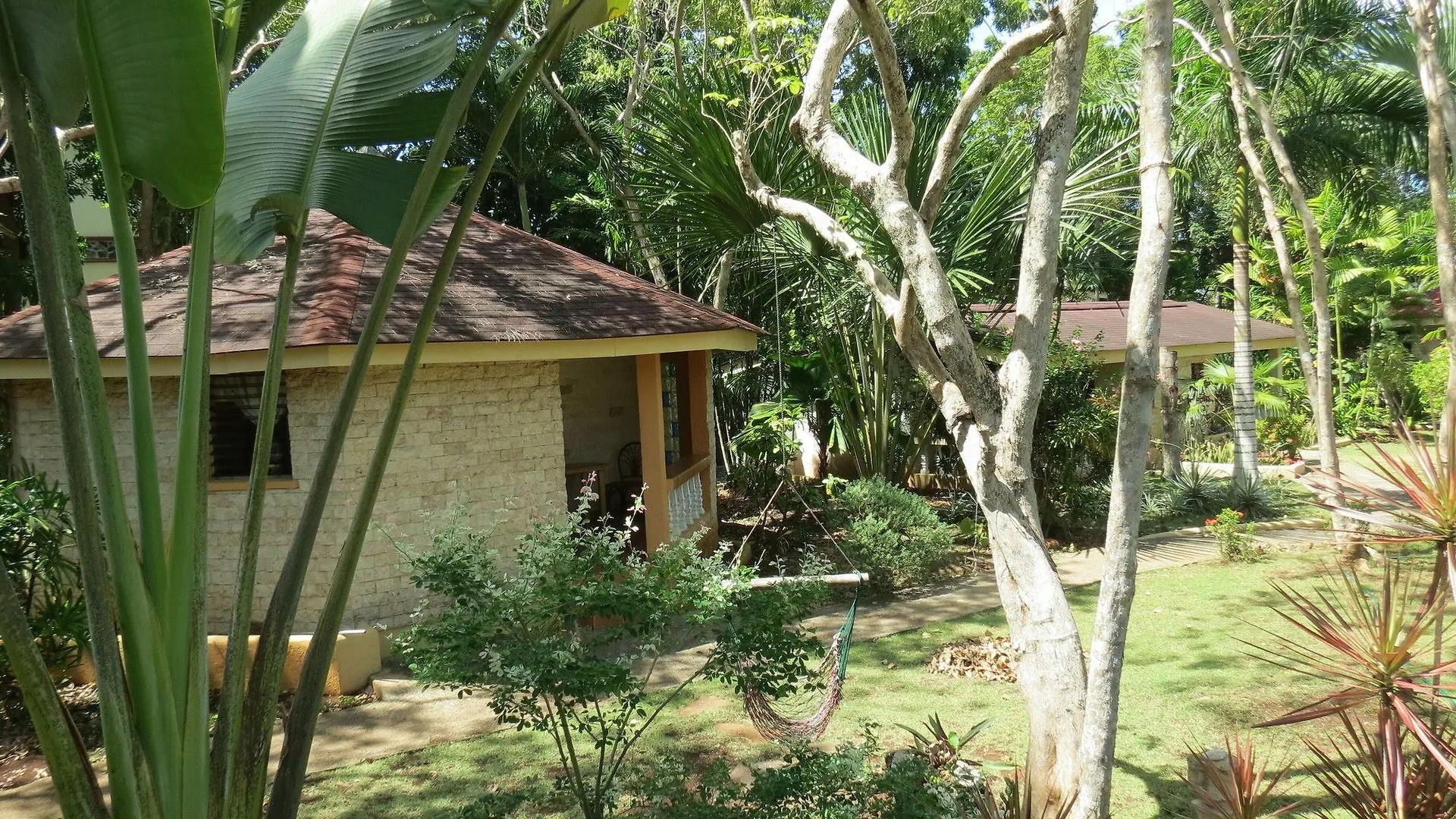 Alonaland Resort Apartelle Panglao