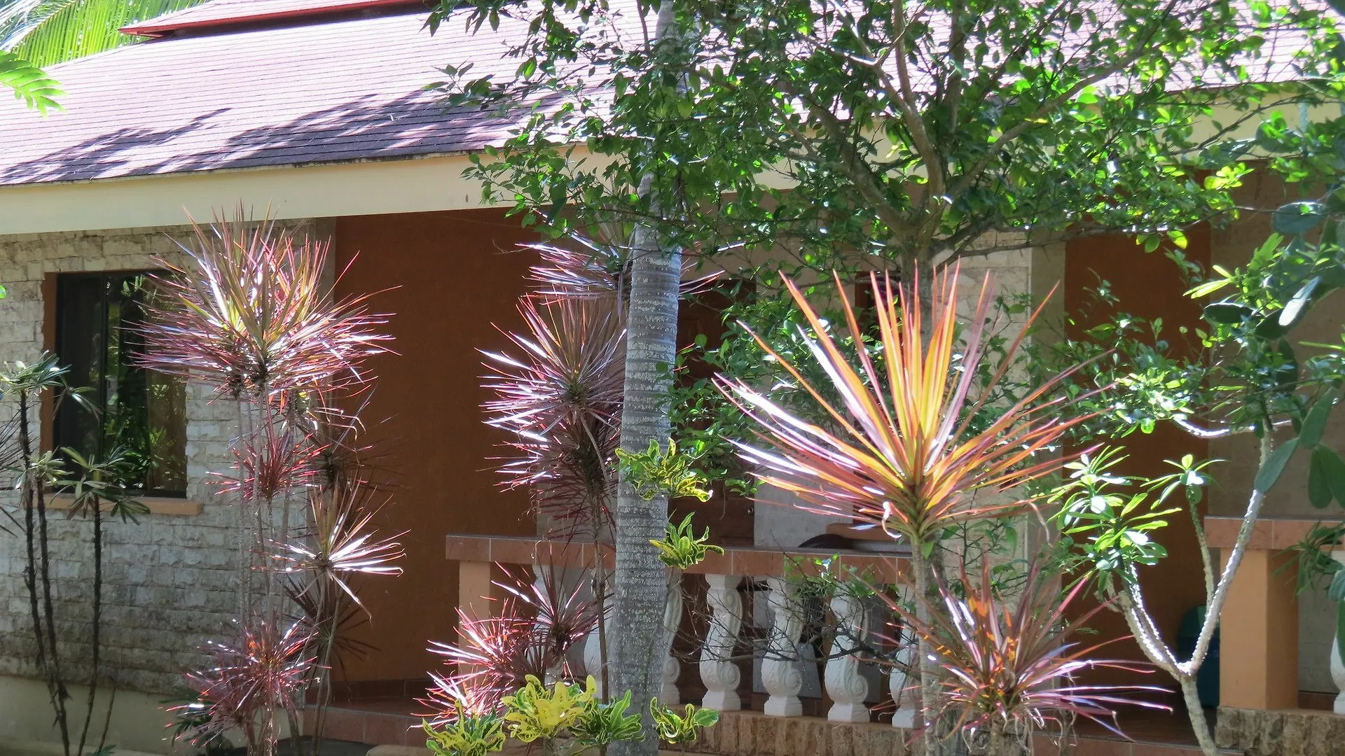 Alonaland Resort Apartelle Panglao