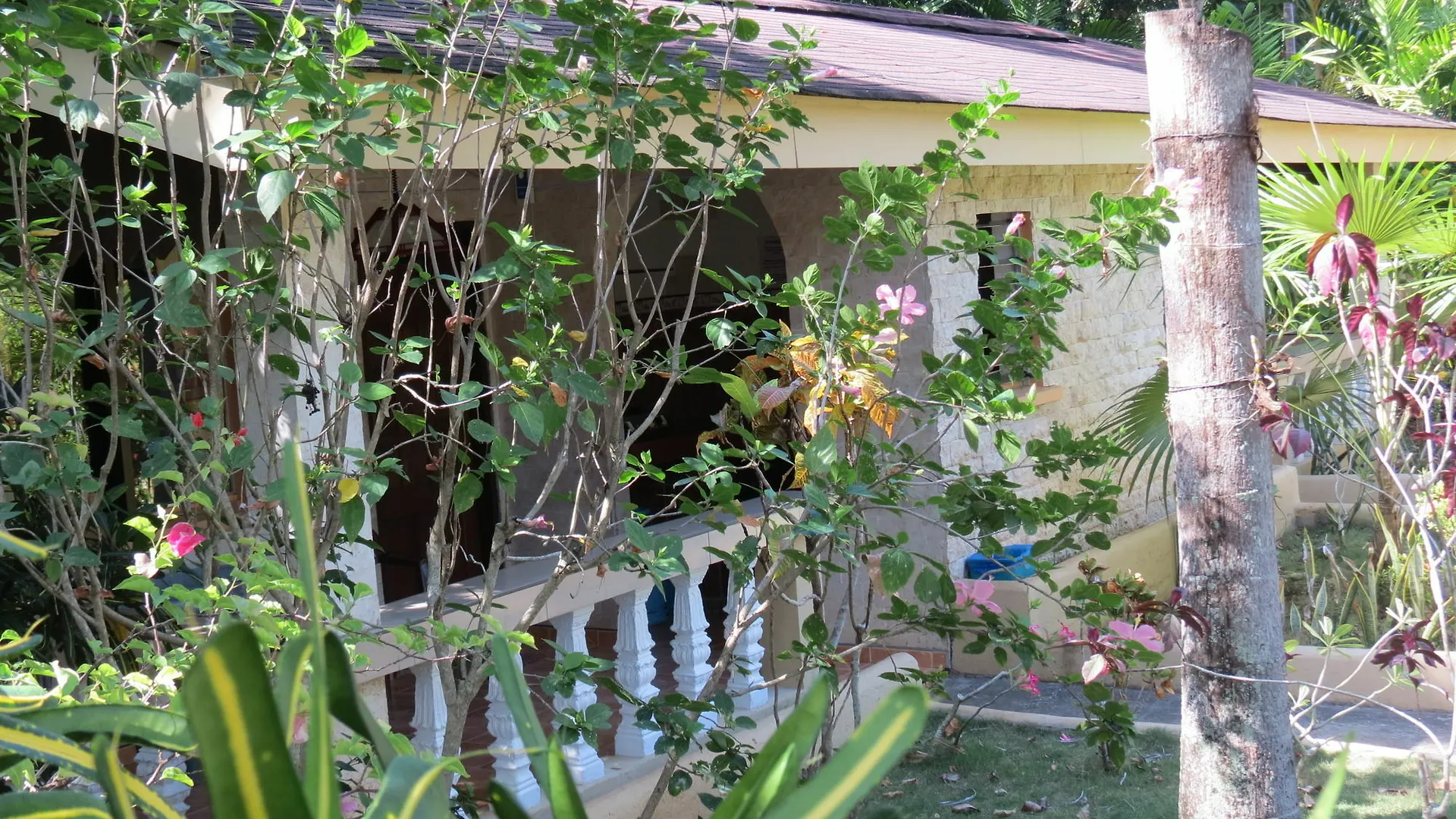 Alonaland Resort Apartelle Panglao Tawala (Panglao)