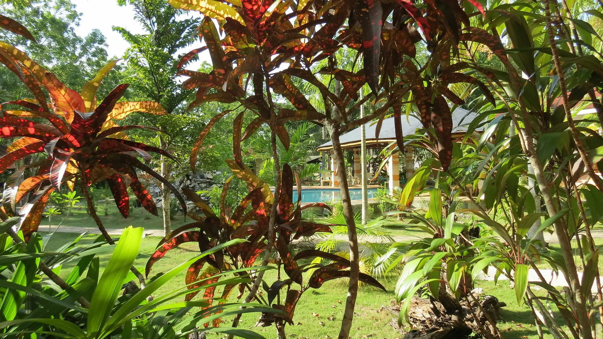 Alonaland Resort Apartelle Panglao